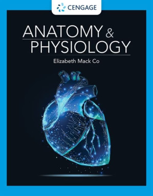 Anatomy & Physiology By Elizabeth Mack Co