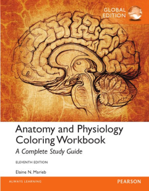 Anatomy & Physiology Coloring Workbook : a complete study guide - Marieb, Elaine Nicpon