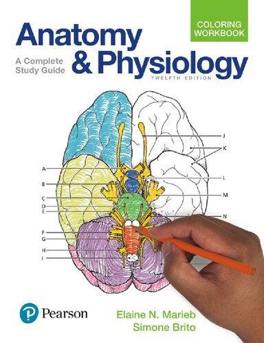 Anatomy And Physiology Coloring Workbook A Complete Study Guide 12Th Edition
