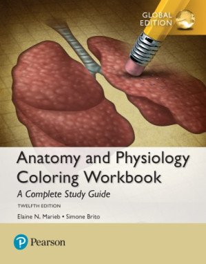 Anatomy and Physiology Coloring Workbook: A Complete Study Guide - Marieb, Elaine N;Brito, Simone