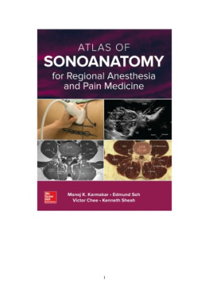 Atlas Of Sonoanatomy For Regional Anesthesia And Pain Medicine By Manoj Karmakar