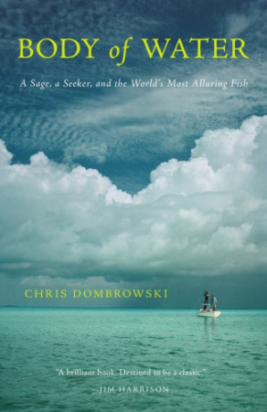 Body of water by Dombrowski, Chris;Pinder, David