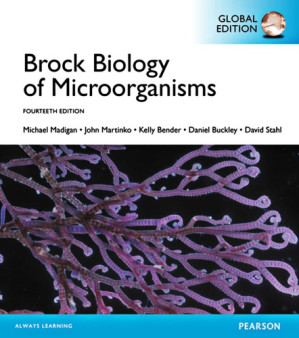Brock Biology of Microorganisms 4\E - Brock, Thomas D.;Madigan, Michael Thomas;Martinko, John M