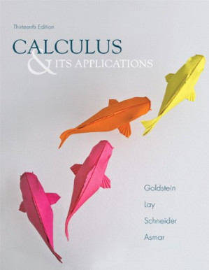 Calculus & Its Applications - Larry J. Goldstein, David C. Lay, David I. Schneider, Nakhle H. Asmar