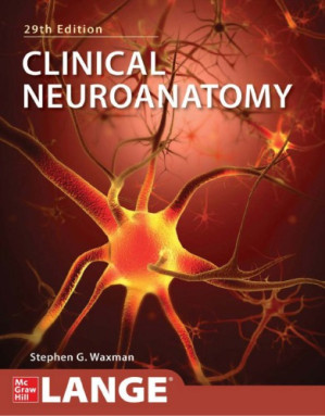 Clinical Neuroanatomy (LANGE) By Stephen G. Waxman