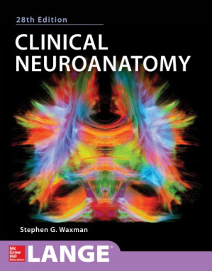 Clinical Neuroanatomy By Stephen G. Waxman
