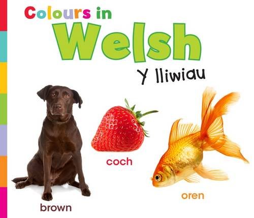 Colours in Welsh by Nunn, Daniel