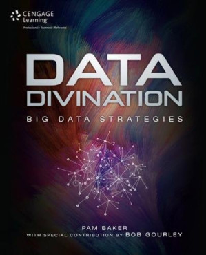 Data Divination: Big Data Strategies By Pam Baker, Bob Gourley