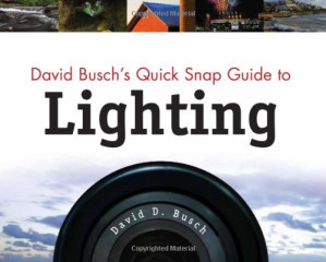 David Busch's Quick Snap Guide To Lighting By David D. Busch - 9780684315539