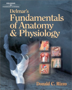 Delmar's Fundamentals of Anatomy and Physiology By Donald C Rizzo