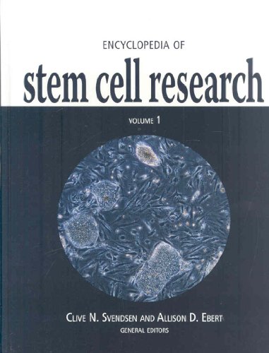 Encyclopedia of Stem Cell Research Vol. 2