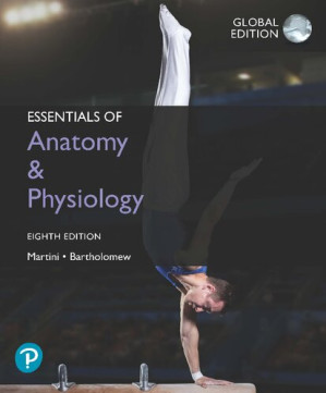 Essentials of Anatomy & Physiology, Global Edition - Frederic Martini, Edwin Bartholomew