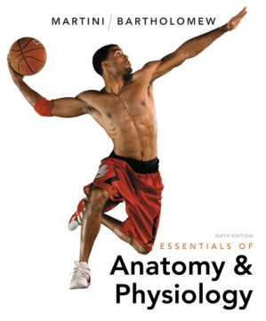 Essentials of Anatomy and Physiology - Frederic H. Martini; William C. Ober; Edwin F. Bartholomew
