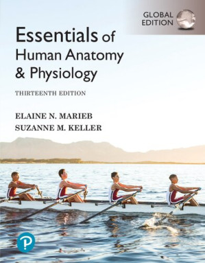 Essentials of Human Anatomy & Physiology, 13th edition - Elaine N. Marieb; Suzanne M. Keller