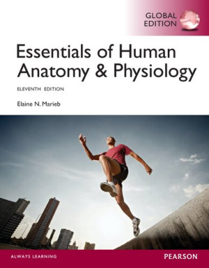Essentials of Human Anatomy & Physiology - Elaine Nicpon Marieb - 9781292057200