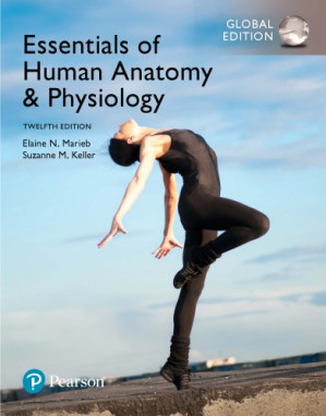 Essentials of Human Anatomy & Physiology, Global Edition - Keller.;Marieb