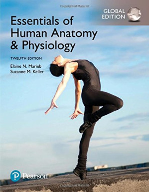Essentials of Human Anatomy & Physiology, Global Edition - Suzanne M. Keller Elaine N. Marieb