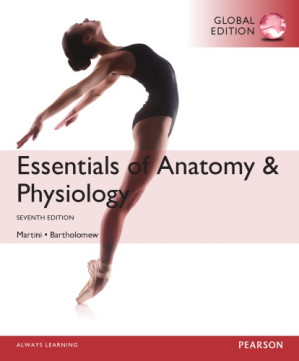 Essentials of anatomy & physiology - Bartholomew, Edwin F.; Martini, Frederic