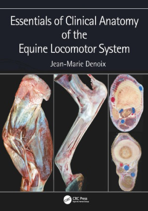 Essentials of clinical anatomy of the equine locomotor system - 9780429424588
