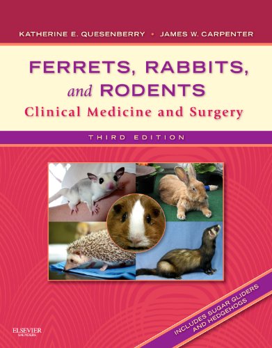 Ferrets, Rabbits, and Rodents: Clinical Medicine and Surgery, 3rd Edition - 3rd Edition