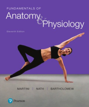 Fundamentals of Anatomy & Physiology - Frederic H. Martini, Judi L. Nath