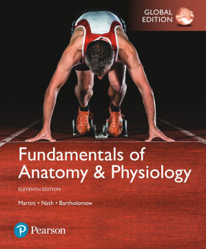 Fundamentals of Anatomy and Physiology - Frederic H. Martini & Judi L. Nath & Edwin F. Bartholomew