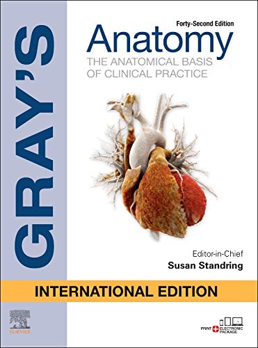 GRAY'S Anatomy the Anatomical Basis of Clinical Practice 42ND EDITION 2022