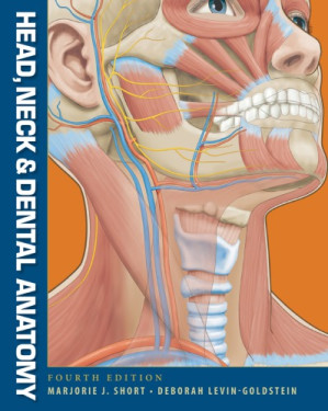 Head, Neck and Dental Anatomy By Short, Marjorie J; Levin-Goldstein, Deborah