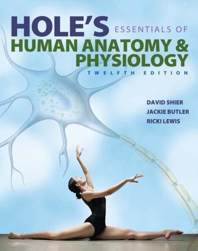 Holes Essentials Of Human Anatomy Physiology 12Th Edition 1