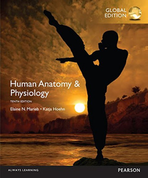 Human Anatomy & Physiology - Elaine N. Marieb, Katja N. Hoehn