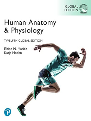Human Anatomy & Physiology, Global Edition - Elaine N Marieb, Katja N. Hoehn