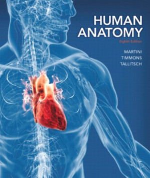 Human Anatomy - Frederic H. Martini, Michael J. Timmons, Robert B. Tallitsch