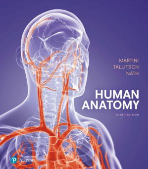 Human Anatomy - Martini, Frederic H;Tallitsch, Robert B(Contributor);Nath, Judi Lindsley(Contributor) - 9780134320762-1