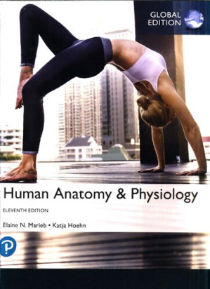 Human Anatomy Physiology, Global Edition - Elaine N. Marieb ET ALL