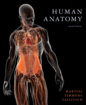 Human Anatomy, Seventh Edition - Frederic Martini, Michael J. Timmons, Robert B. Tallitsch