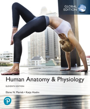 Human Anatomy and Physiology: plus Pearson Mastering - Suzanne M. Keller; Elaine Nicpon Marieb