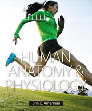 Human anatomy & physiology - Amerman, Erin C