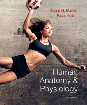 Human anatomy & physiology - Elaine Nicpon Marieb; Katja Hoehn - 9780321696397