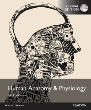 Human anatomy & physiology - Erin C. Amerman