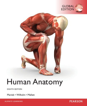Human anatomy - Elaine Nicpon Marieb; Jon Mallatt; Patricia Brady Wilhelm - 9781292156873