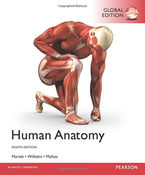 Human anatomy - Mallatt, Jon; Marieb, Elaine Nicpon; Wilhelm, Patricia Brady - 9780134330969