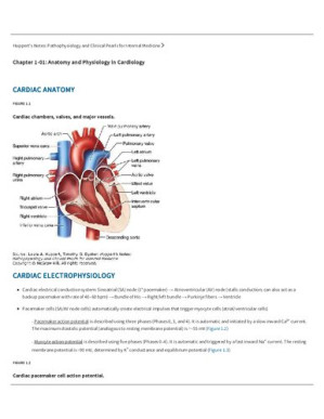 Huppert's Notes: Pathophysiology and Clinical Pearls for Internal Medicine By Laura Huppert