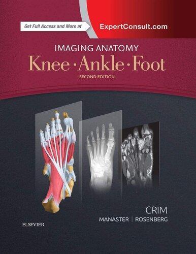 Imaging Anatomy Knee Ankle Foot 2Nd Edition