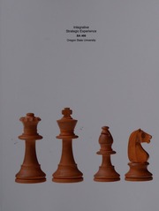 Integrative Strategic Experience
