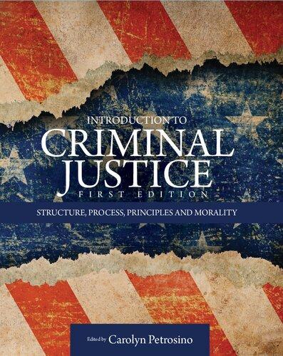 Introduction To Criminal Justice Structure Process Principles And Morality