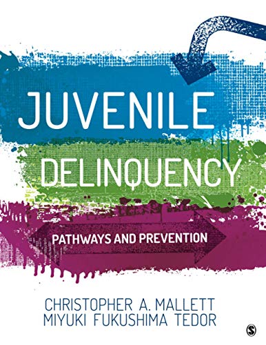 Juvenile Delinquency: Pathways and Prevention - 1st Edition