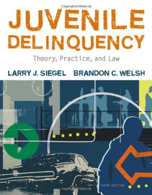 Juvenile Delinquency: Theory, Practice, and Law By Larry J. Siegel, Brandon C. Welsh - 9780324663662
