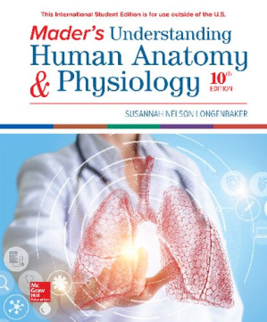 Mader's understanding human anatomy & physiology By Susannah Nelson Longenbaker