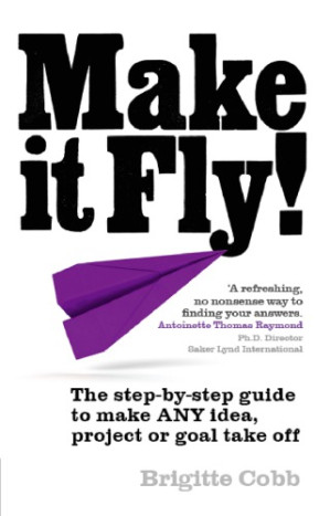 Make It Fly!: The Step-By-Step Guide to Make Any Idea, Project or Goal Take Off - Cobb, Brigitte