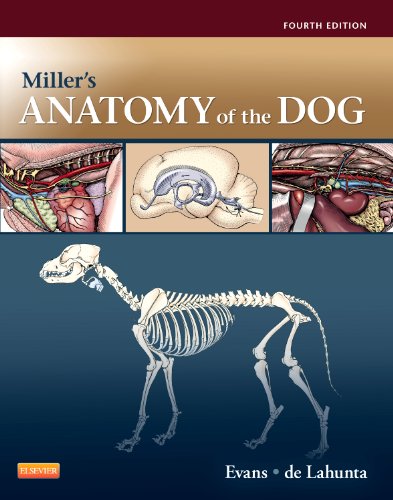 Millerâ€™s Anatomy of the Dog - 4th Edition